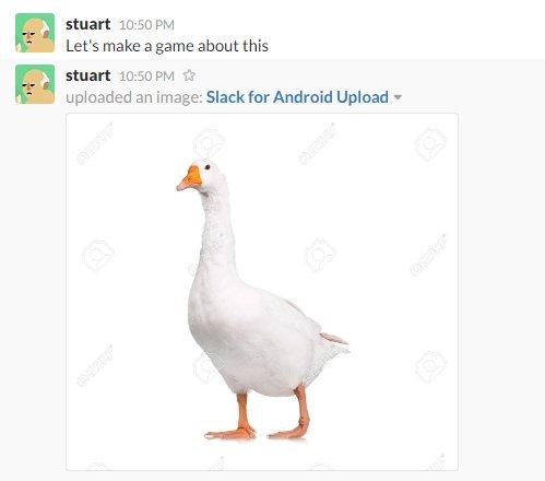 Oie slack